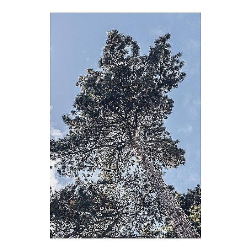 Parc des Dryades La Baule